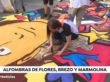 NUEVA FLORES NUEVA FLORES