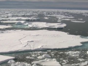 El hielo marino de la Antártida baja al mínimo histórico en 40 años 