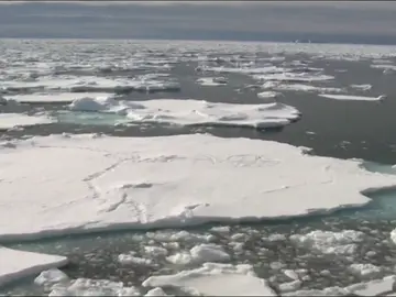 El hielo marino de la Antártida baja al mínimo histórico en 40 años El hielo marino de la Antártida baja al mínimo histórico en 40 años