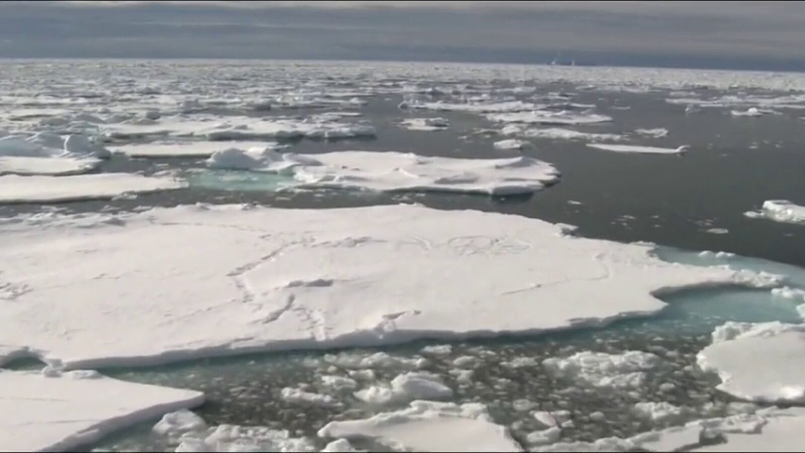 El hielo marino de la Antártida baja al mínimo histórico en 40 años 