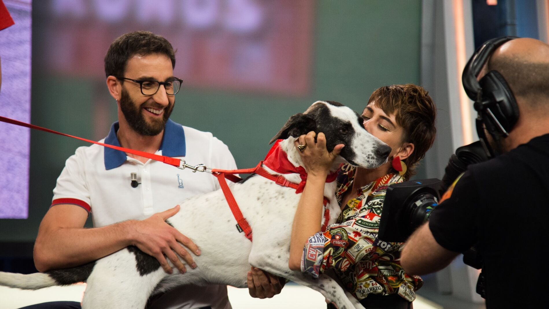 Lola, una perra cari&ntilde;osa que busca un buen hogar, busca un nuevo hogar en &lsquo;El Hormiguero 3.0&rsquo;