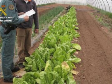 Incautan 300 toneladas y 39 mil litros de alimentos y bebida falsificadas