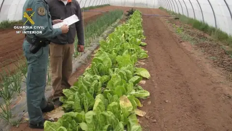 Incautan 300 toneladas y 39 mil litros de alimentos y bebida falsificadas Incautan 300 toneladas y 39 mil litros de alimentos y bebida falsificadas