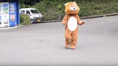 El simulacro sobre cómo actuar cuando un león se escapa de su jaula que se ha vuelto viral 