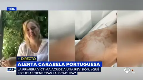Carabela portuguesa. caravela