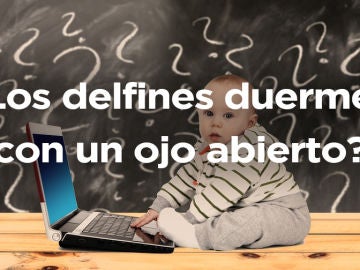 Test verdad o mentira Test verdad o mentira