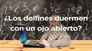 Test verdad o mentira