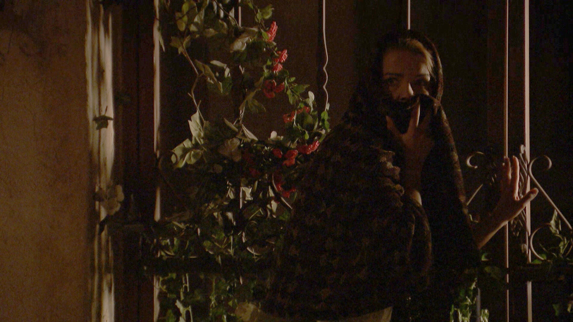 El inesperado regreso de Antolina 