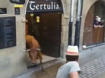 Una vaquilla abandona un encierro en Laguardia y se va de bares