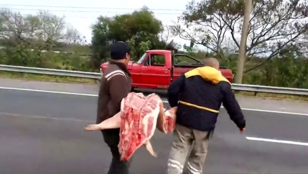 Saquean un camión con carne de cerdo en Argentina