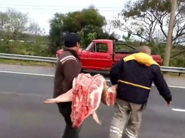 Saquean un camión con carne de cerdo en Argentina