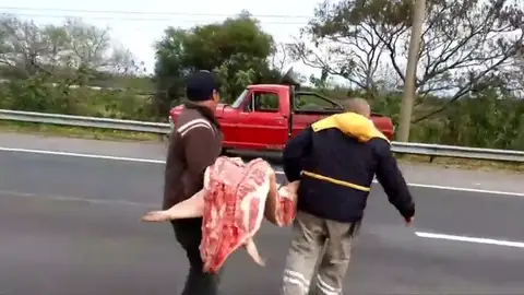 Saquean un camión con carne de cerdo en Argentina Saquean un camión con carne de cerdo en Argentina