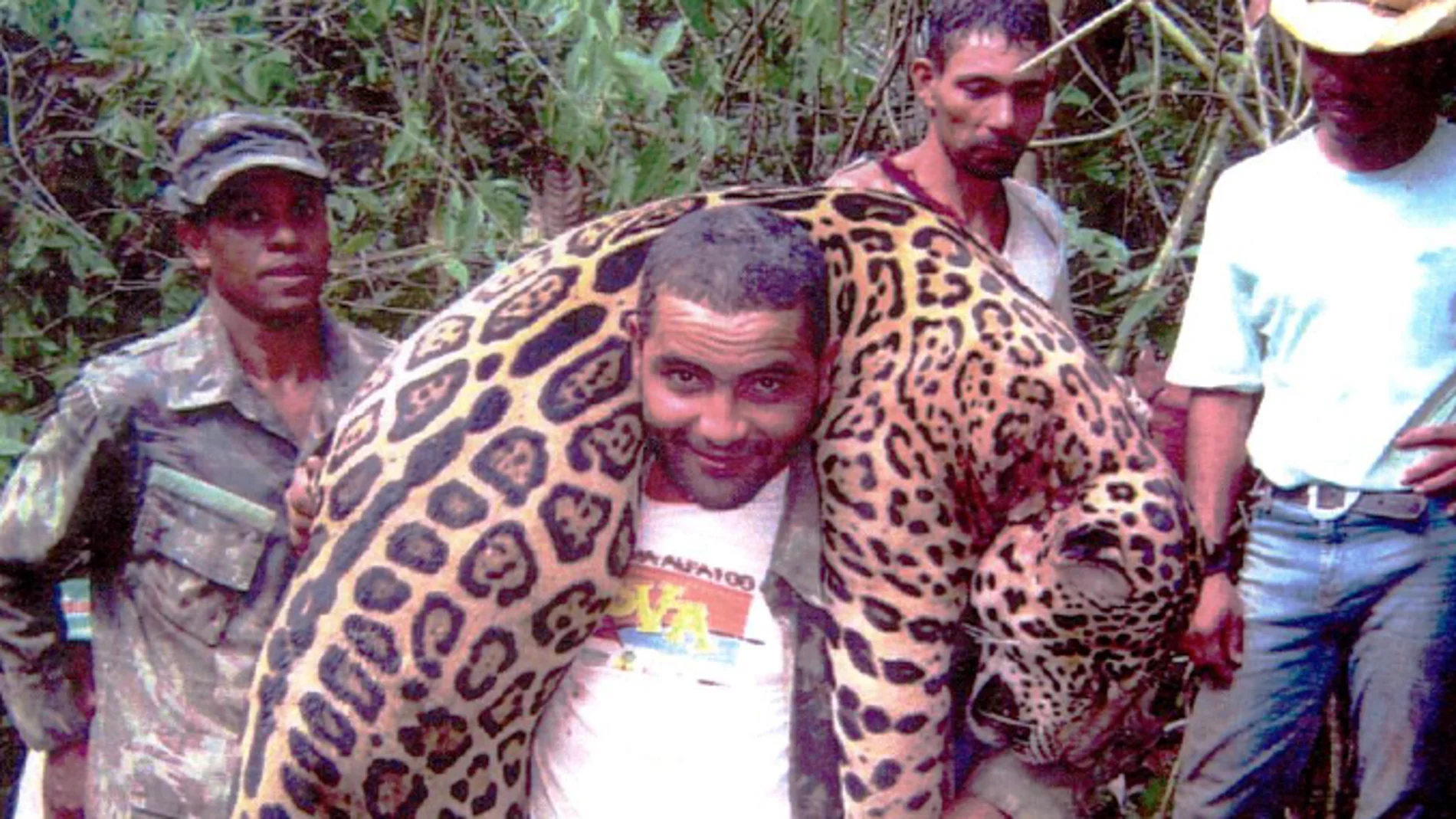 Jaguares cazados de manera ilegal en Brasil Jaguares cazados de manera ilegal en Brasil