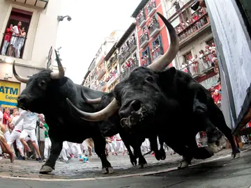 Imagen de los toros del primer encierro de San Fermín 2019 Imagen de los toros del primer encierro de San Fermín 2019