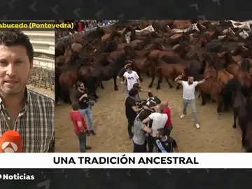 NUEVA RAPA OK NUEVA RAPA OK