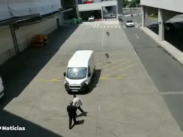 NUEVA ATROPELLO NUEVA ATROPELLO