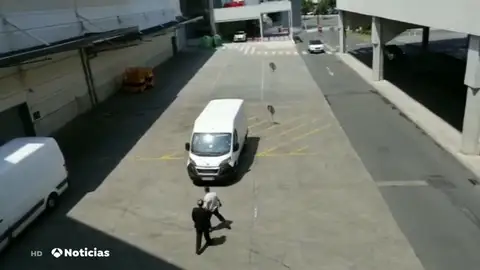 NUEVA ATROPELLO NUEVA ATROPELLO