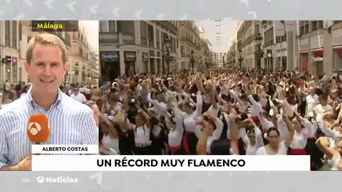 NUEVA FLAMENCO NUEVA FLAMENCO