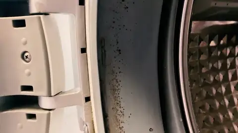El truco para eliminar el mal olor y el moho de la goma de tu lavadora