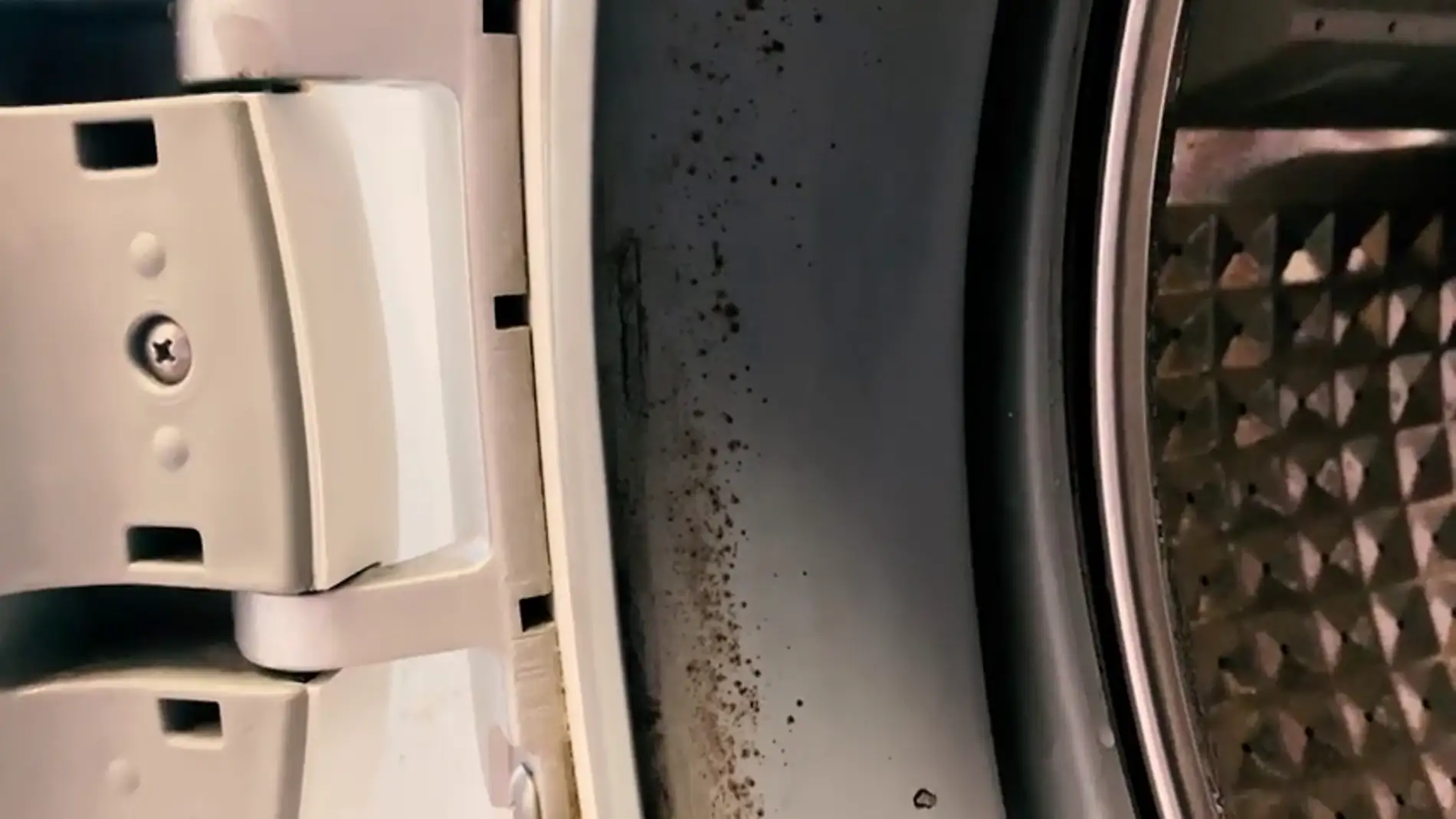 Trucos de limpieza: Cómo limpiar la goma de la lavadora para acabar con el  moho (y el mal olor)