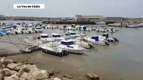 El 'tsunami' de Conil que resultó ser un afelio El 'tsunami' de Conil que resultó ser un afelio