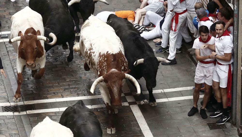 Encierros de San Fermín