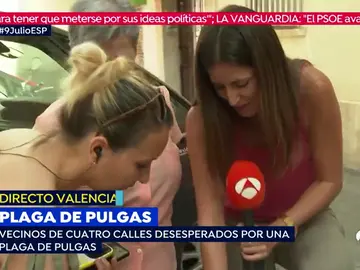 Plaga de pulgas. Plaga de pulgas.