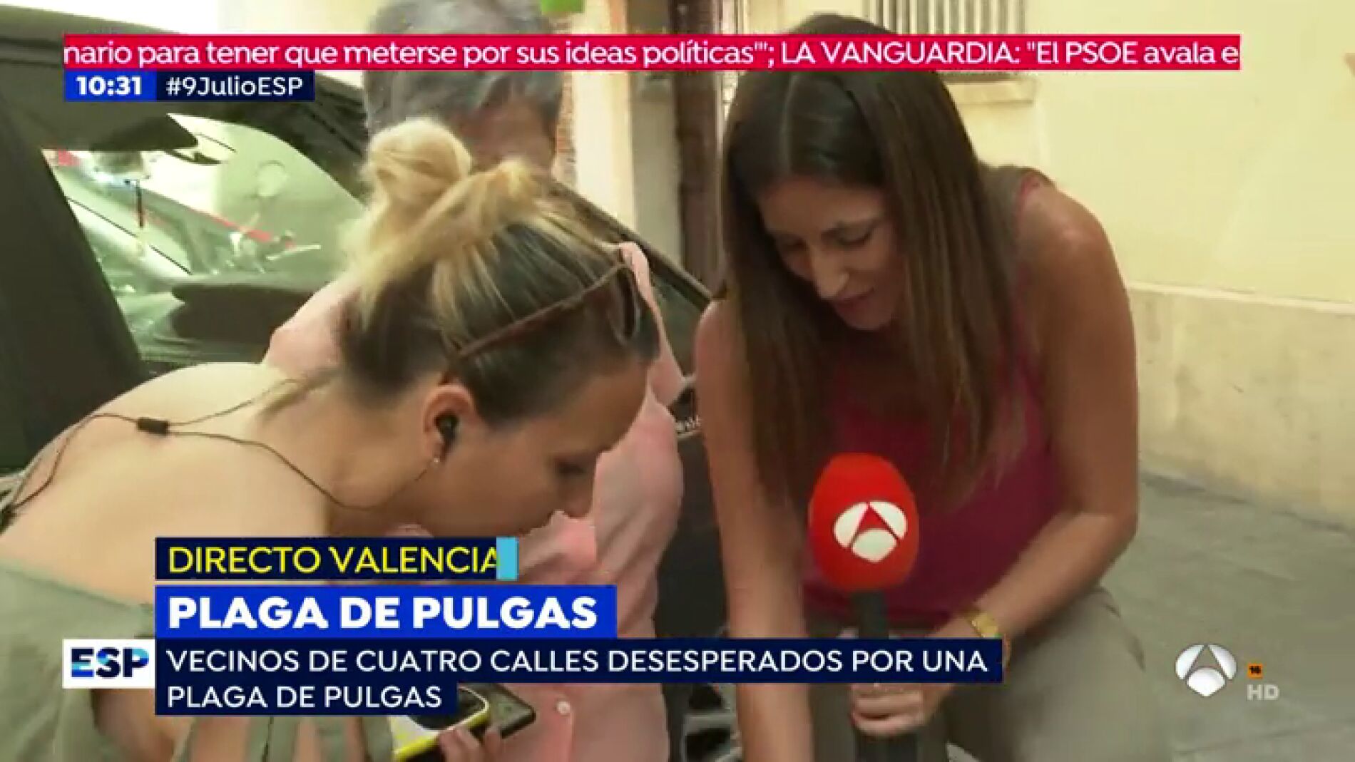 Plaga de pulgas.