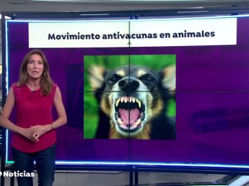 El movimiento antivacuna se extiende a los animales