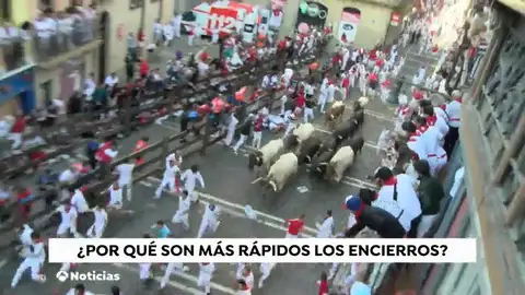 Cuarto encierro de San Fermín: toros demasiado rápidos y muy protegidos Cuarto encierro de San Fermín: toros demasiado rápidos y muy protegidos