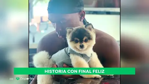 perro sturridge perro sturridge