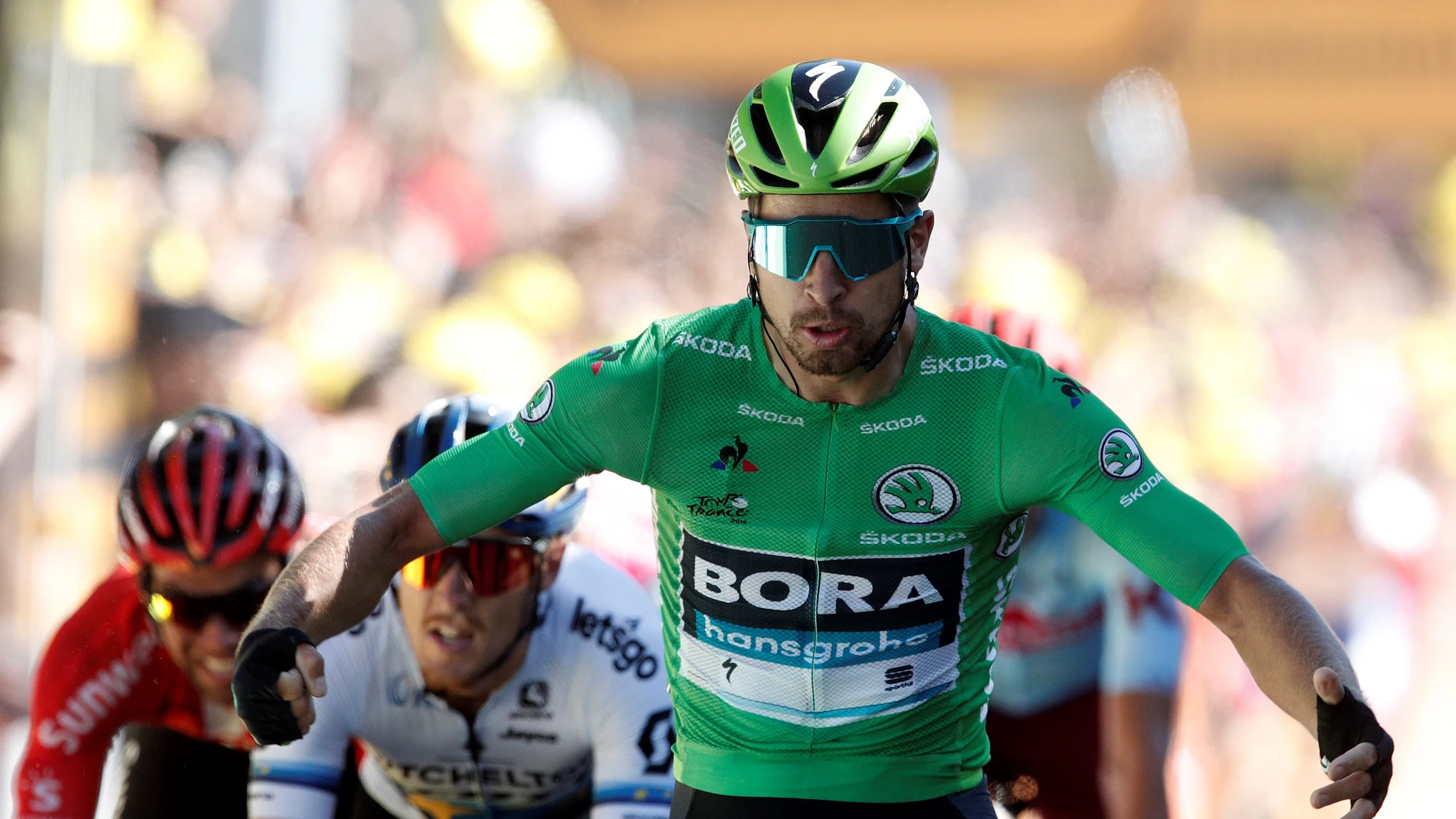 Sagan celebra su victoria en la etapa del Tour de Francia Sagan celebra su victoria en la etapa del Tour de Francia