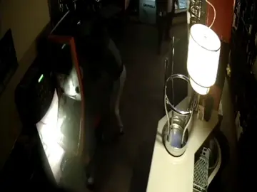 Ocho detenidos y dos investigados de una banda organizada por 28 robos en bares de Pontevedra y A Coruña Ocho detenidos y dos investigados de una banda organizada por 28 robos en bares de Pontevedra y A Coruña