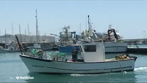 La presencia de la bacteria e. coli obliga al cierre de un caladero de marisco en Málaga La presencia de la bacteria e. coli obliga al cierre de un caladero de marisco en Málaga