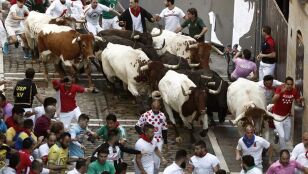 Imagen de archivo de los toros de Victoriano del R&iacute;o