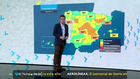 Previsión Previsión