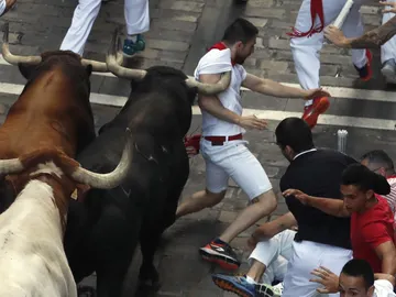 Los toros de la ganadería de La Palmosilla, de Tarifa Los toros de la ganadería de La Palmosilla, de Tarifa