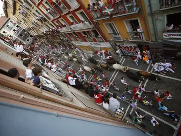 Los toros de la ganadería de La Palmosilla, de Tarifa Los toros de la ganadería de La Palmosilla, de Tarifa
