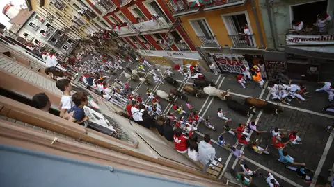 Los toros de la ganadería de La Palmosilla, de Tarifa Los toros de la ganadería de La Palmosilla, de Tarifa