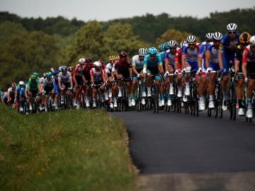 El pelotón durante la 7ª etapa de la 106ª edición de la carrera ciclista Tour de Francia