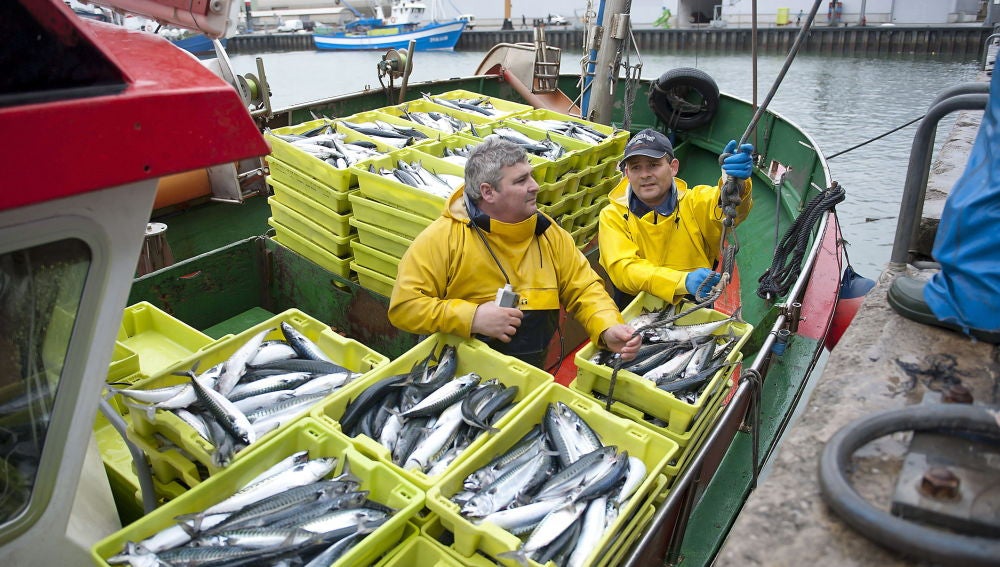El pescado es la causa de este resultado, según un estudio
