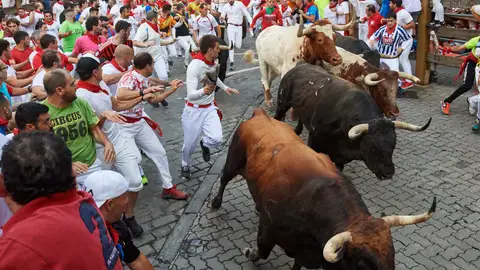 Séptimo encierro de los Sanfermines 2019, con toros de La Palmosilla, de Tarifa (Cádiz) Séptimo encierro de los Sanfermines 2019, con toros de La Palmosilla, de Tarifa (Cádiz)