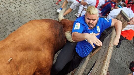 Los toros de la ganadería sevillana de Miura