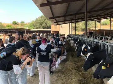 Los activistas grabando a las vacas Los activistas grabando a las vacas
