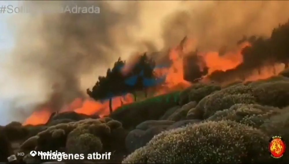 REEMPLAZO | Continúa activo el incendio de Ávila con un perímetro de 180 hectáreas