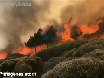 REEMPLAZO | Continúa activo el incendio de Ávila con un perímetro de 180 hectáreas REEMPLAZO | Continúa activo el incendio de Ávila con un perímetro de 180 hectáreas