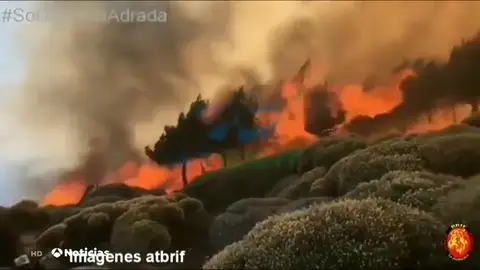 REEMPLAZO | Continúa activo el incendio de Ávila con un perímetro de 180 hectáreas REEMPLAZO | Continúa activo el incendio de Ávila con un perímetro de 180 hectáreas