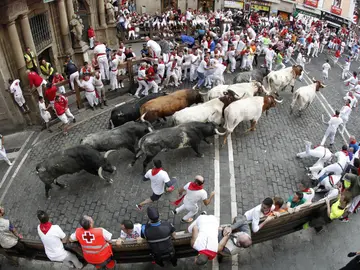 Los toros de la ganadería sevillana de Miura Los toros de la ganadería sevillana de Miura