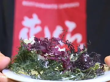 Los expertos aconsejar moderar el consumo de algas japonesas por su alto contenido en yodo Los expertos aconsejar moderar el consumo de algas japonesas por su alto contenido en yodo