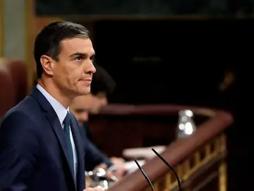 Pedro Sánchez, en la sesión de investidura de julio Pedro Sánchez, en la sesión de investidura de julio